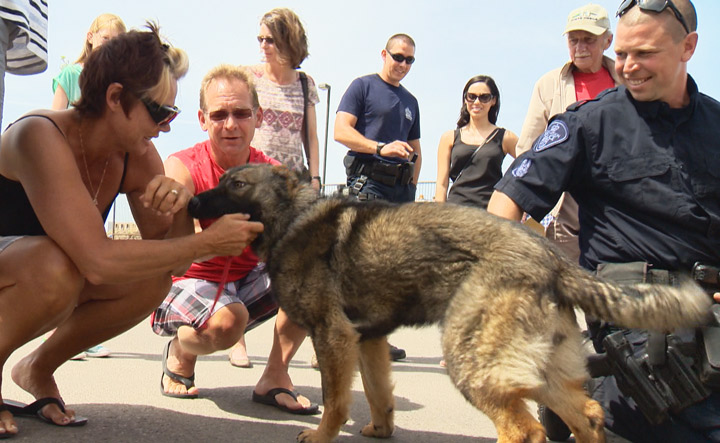 The Stryker K-9 Care Fund, which launched Sunday in Saskatchewan, will help pay veterinary bills for retired police dogs.