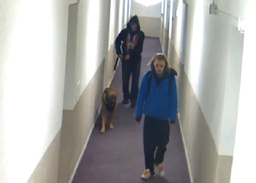 Clyde Marshall, 36, originally from New Brunswick and Sabrina Chouart, 27, of Gatineau, Que. are accused of killing an Ontario man in their Toronto apartment and are wanted on charges of first-degree murder. They are shown with their dog which was discovered abandoned and tied to a post.