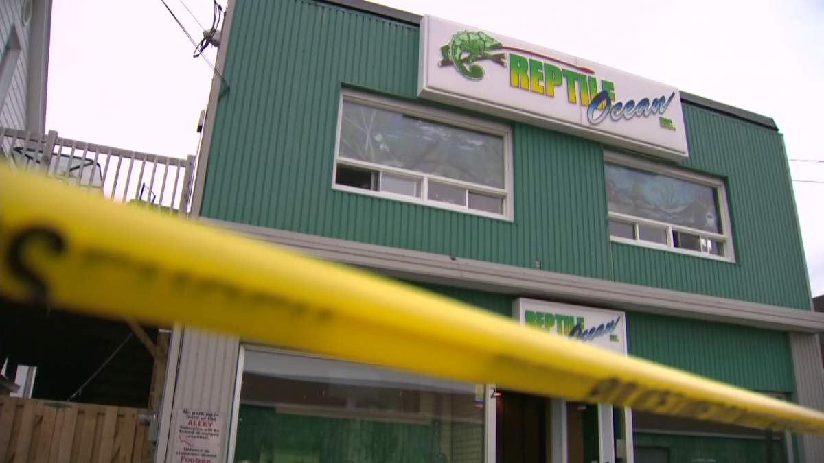 Reptile Ocean in Campbellton, N.B.