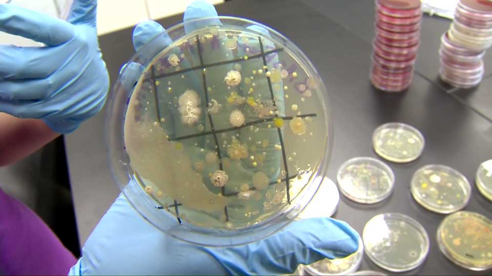 Lab tests show your money can be incredibly dirty