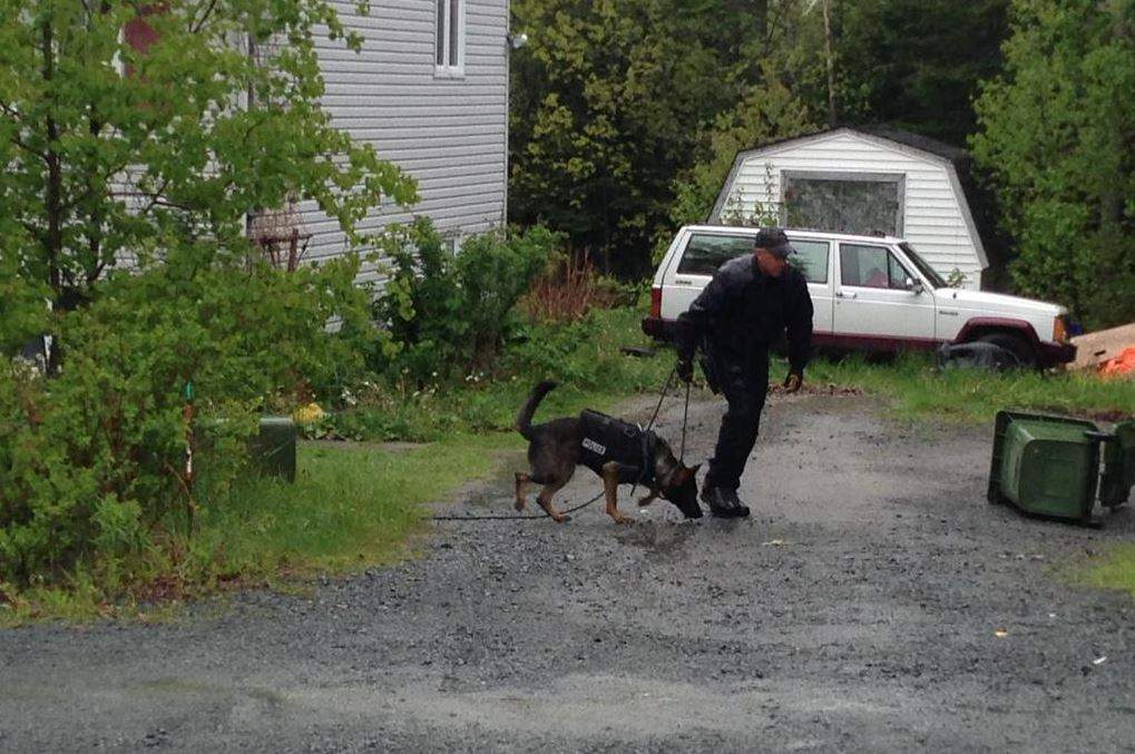 19-year-old man charged with attempted murder in Westphal double stabbing - image