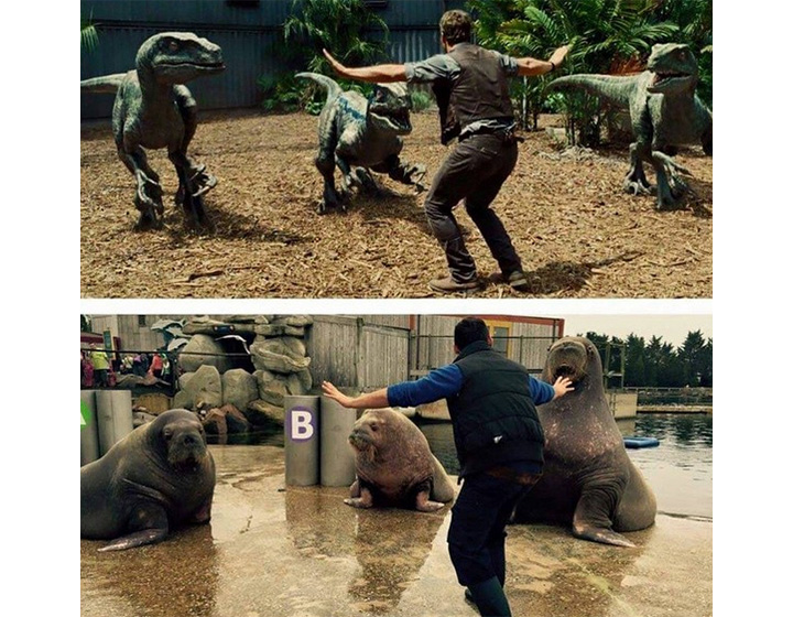 Zookeepers and animal handlers from around the world are spoofing a scene from the blockbuster Jurassic World.
