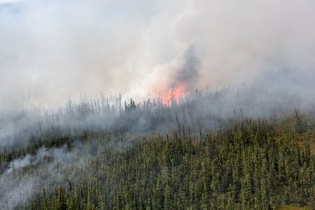 Haze from Canadian wildfires spreads to U.S. causing vivid sunsets ...