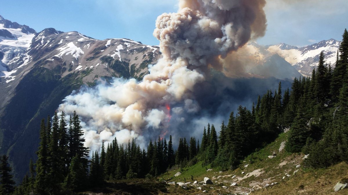 An evacuation order has been put in place due to a wildfire in Boulder Creek, 25 kilometres northwest of Pemberton.