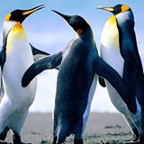 Hulk Hogan’s trolls, a fake photo op, and other things that were fake online this week - image