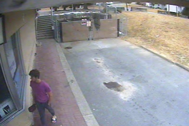 Abbotsford Police looking for arson suspect - image