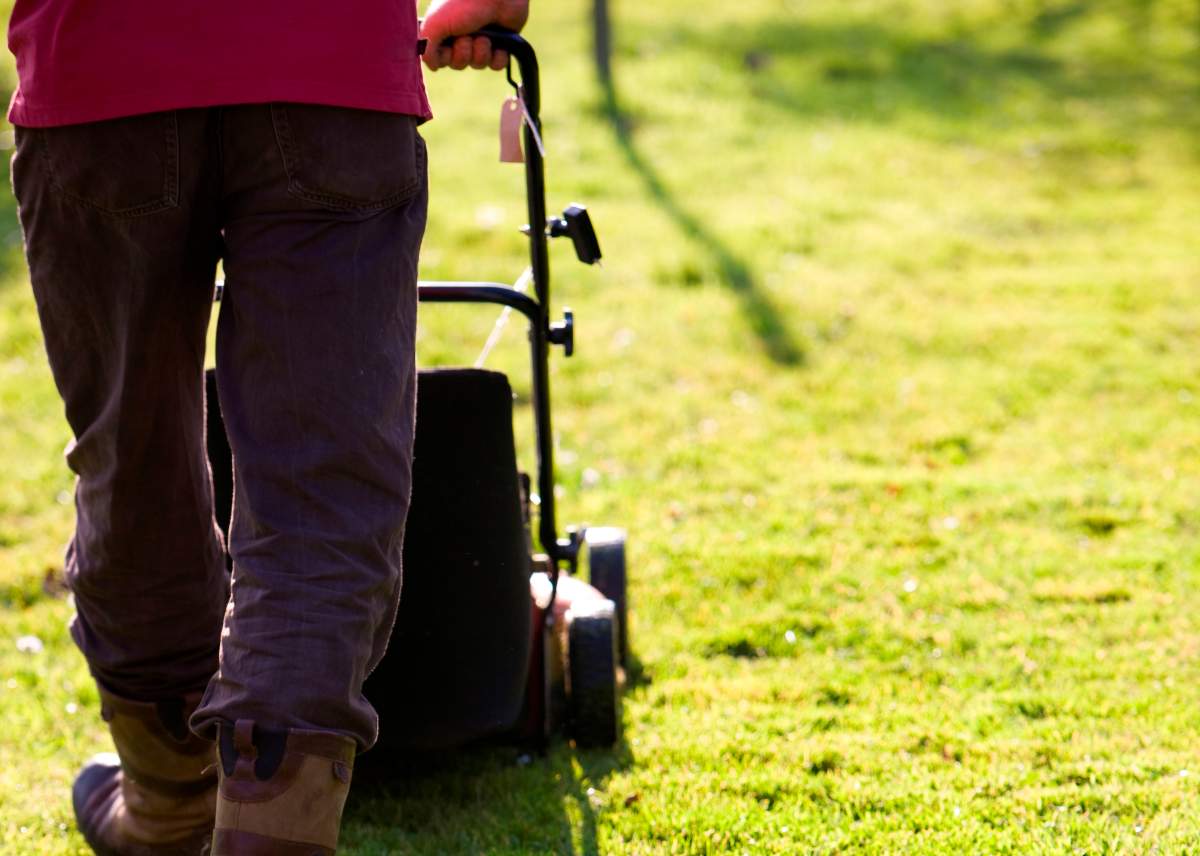 Cities across Canada have bylaws stating property owners must maintain the boulevard next to their yard, or face fines.