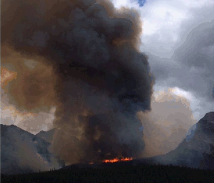 Wildfire north of Banff grows to 400 hectares Globalnews.ca
