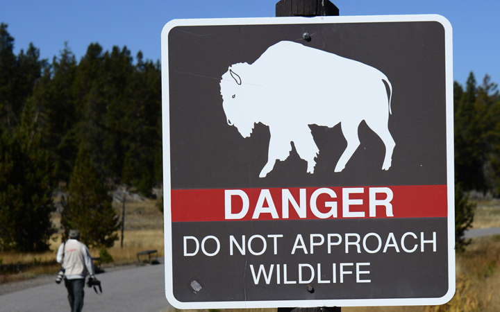 Yellowstone warning