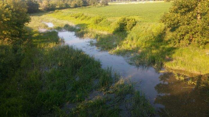 The river where 22-year-old Samantha Higgins’ body was found on Thursday, July 9, 2015.