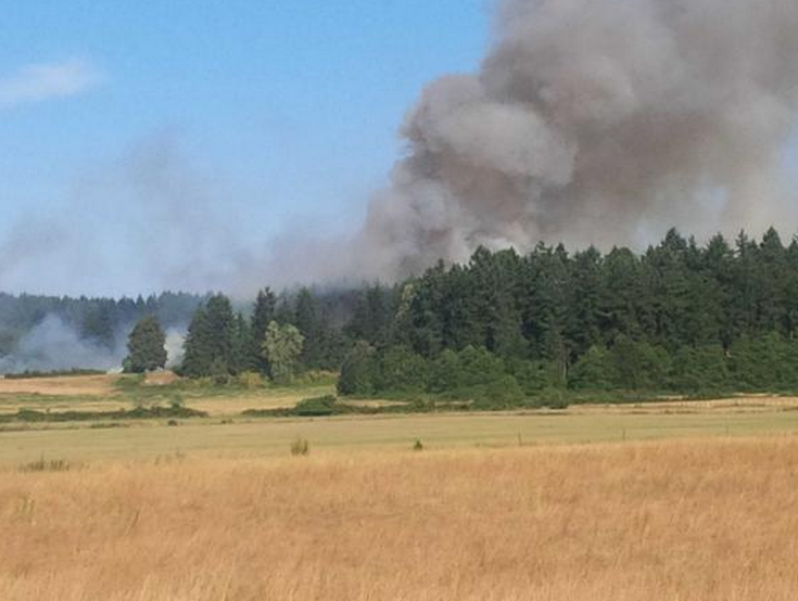 A fire burns near Cedar, B.C. on July 2, forcing the evacuation of several homes.