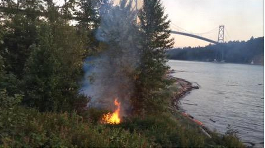 Small fire near Lions Gate Bridge contained - image