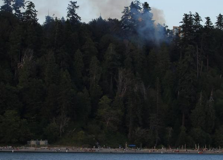 Crews fight a fire next to Wreck Beach and the University of British Columbia on July 24, 2015. 