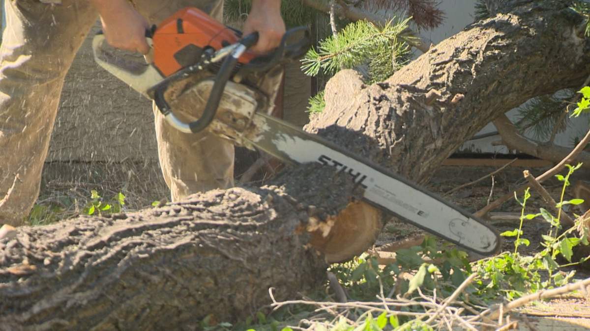A chainsaw being used by arborists was taken and waved at motorists.