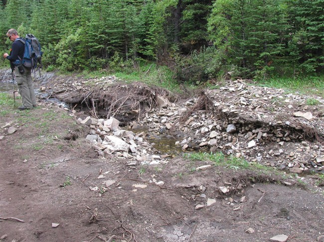 An Alberta Wilderness Association volunteer researcher walks past trail erosion and damage caused by off-highway-vehicles in the Alberta foothills southwest of Edmonton in this 2013 handout photo.