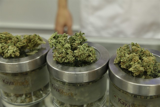 Medical marijuana users can legally consume other forms of the drug beyond the traditional dried version under new Health Canada rules that follow a recent ruling by the Supreme Court of Canada.