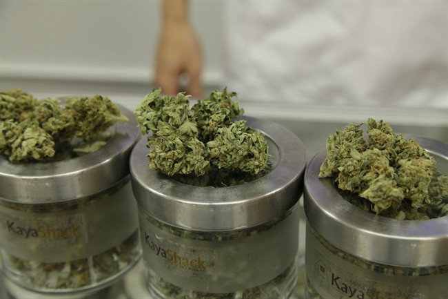 Medical marijuana users can legally consume other forms of the drug beyond the traditional dried version under new Health Canada rules that follow a recent ruling by the Supreme Court of Canada.