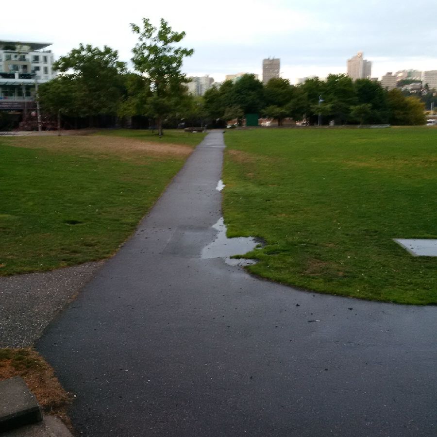 Photo of David Lam Park taken on Thursday, July 23. 