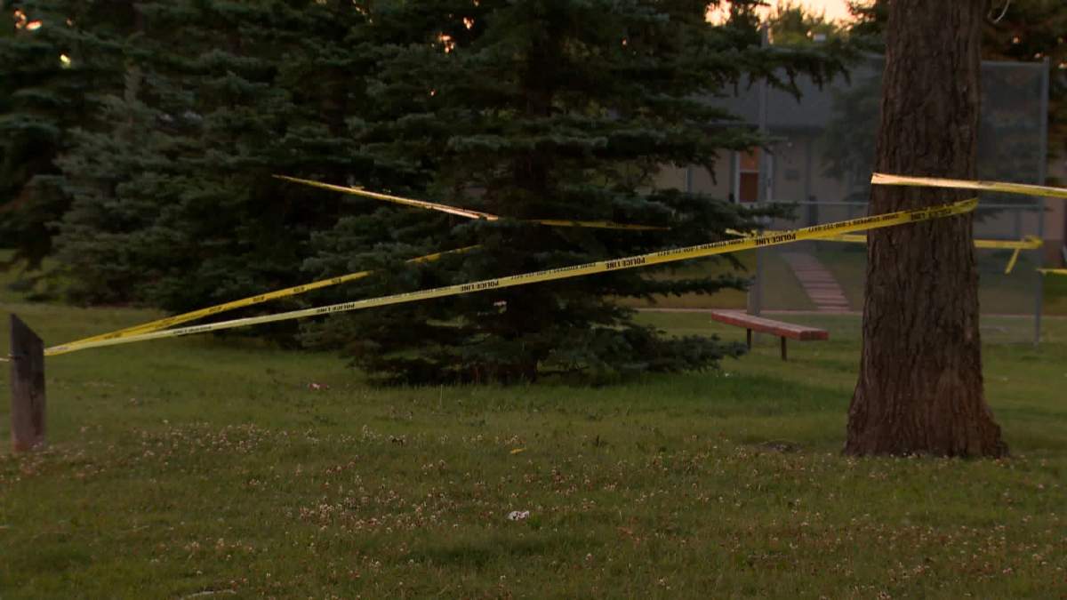 Police investigating possible gunfire in Forest Heights - image