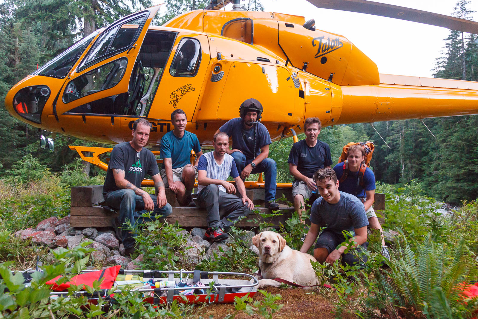 Exhausted dog needs a little help from North Shore Rescue - image