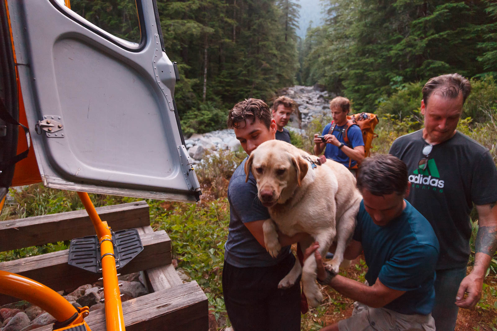 Exhausted dog needs a little help from North Shore Rescue - image