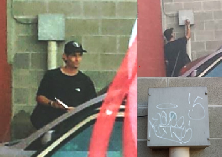 RCMP looking for Kelowna vandal - image