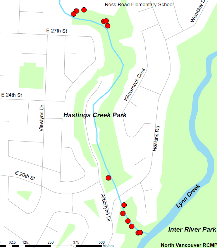 No arrests made after fires deliberately set along North Vancouver trail - image