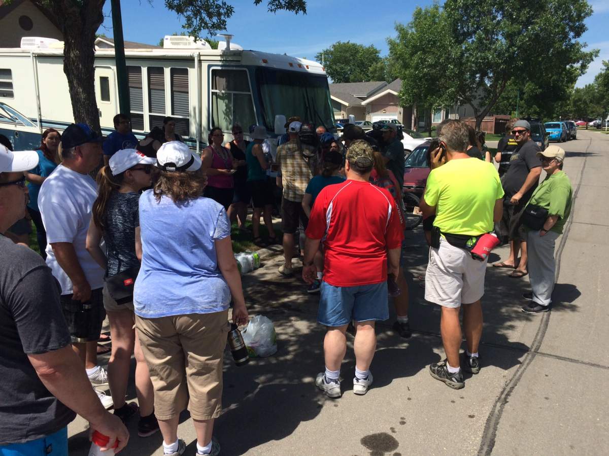 Watch: third day of searching for missing Thelma Krull, 57 - image