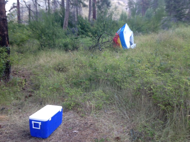 Kelowna RCMP hope to find owners of abandoned camping equipment found near Okangan Lake - image
