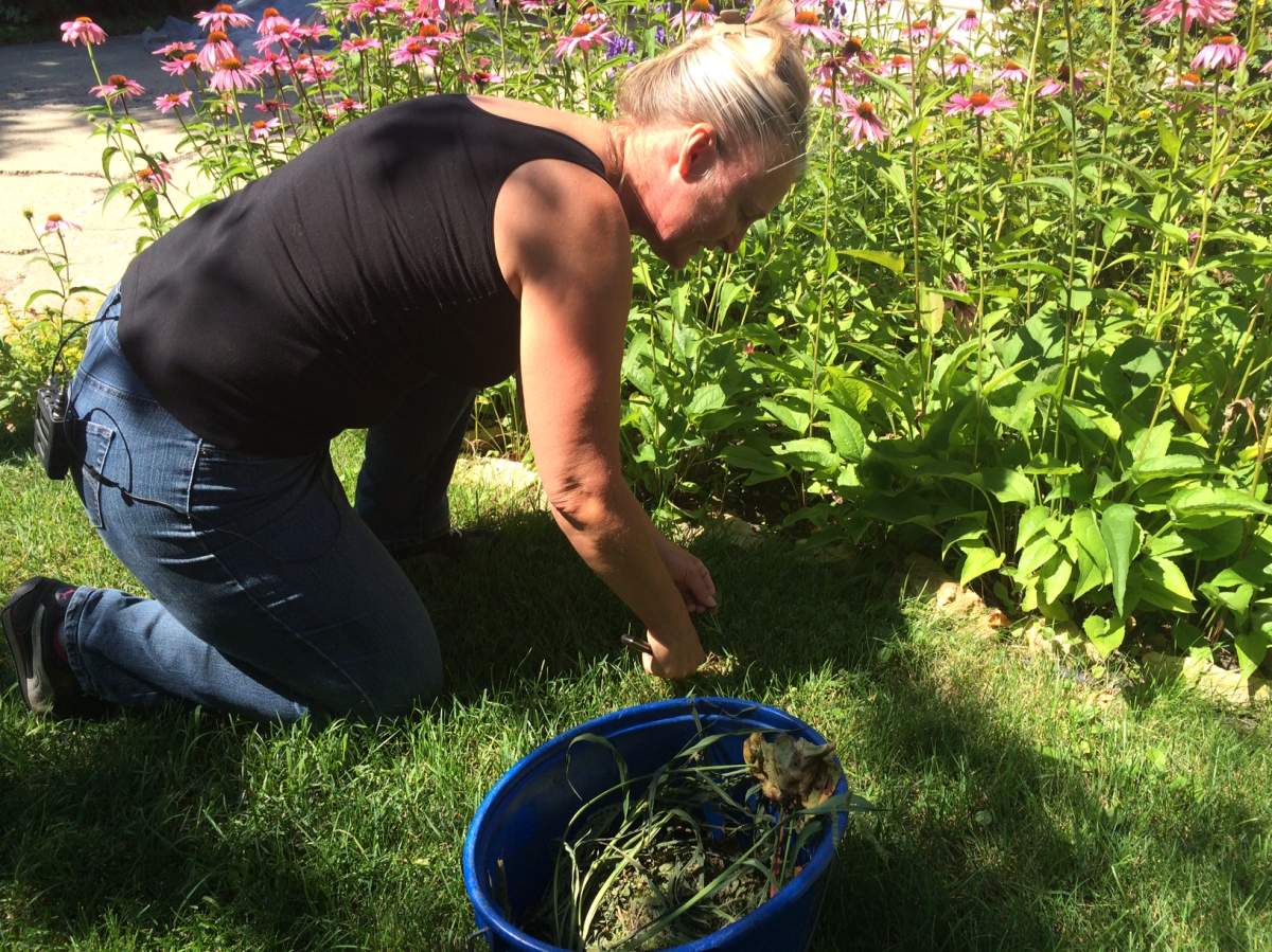 Pulling Weeds