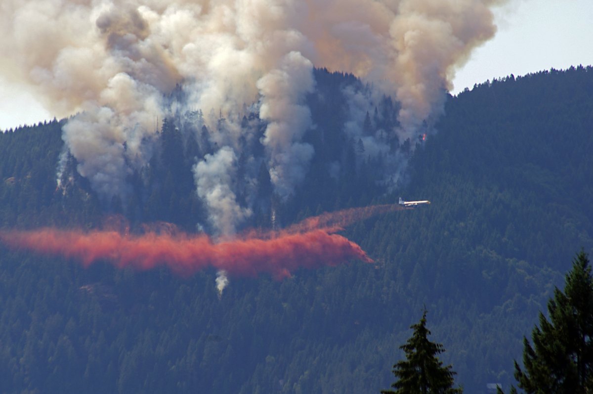 10 Evacuation Orders And Alerts Remain In Bc Due To Wildfires Burning Globalnewsca 6883