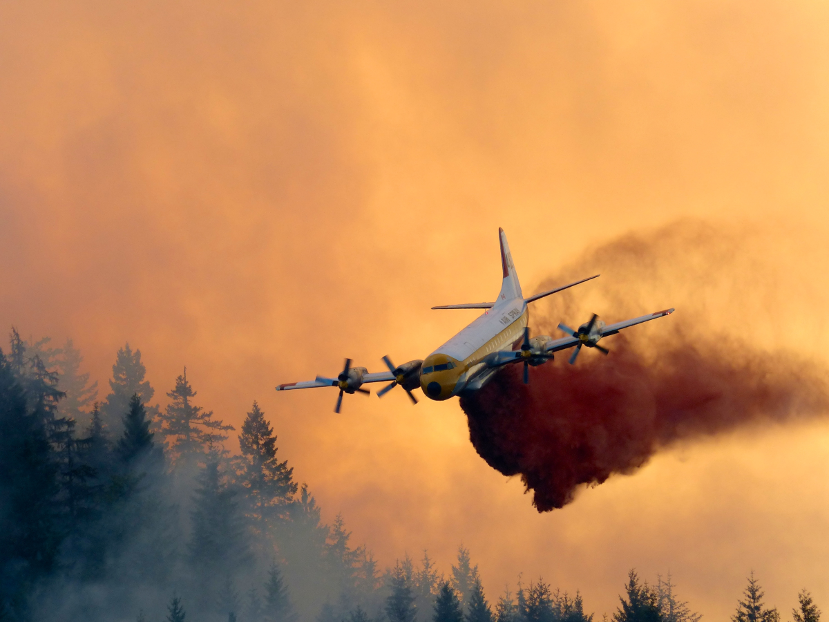 A water bomber fights a fire on the south end of Sproat Lake on July 5, 2015. 