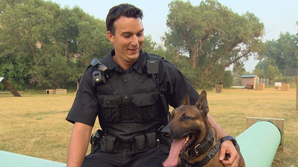 Constable James Demone shares a moment with his partner Arko.