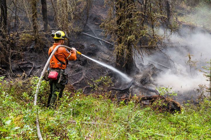 Fire crew member from Ontario working in Jasper National Park. July 13, 2015.