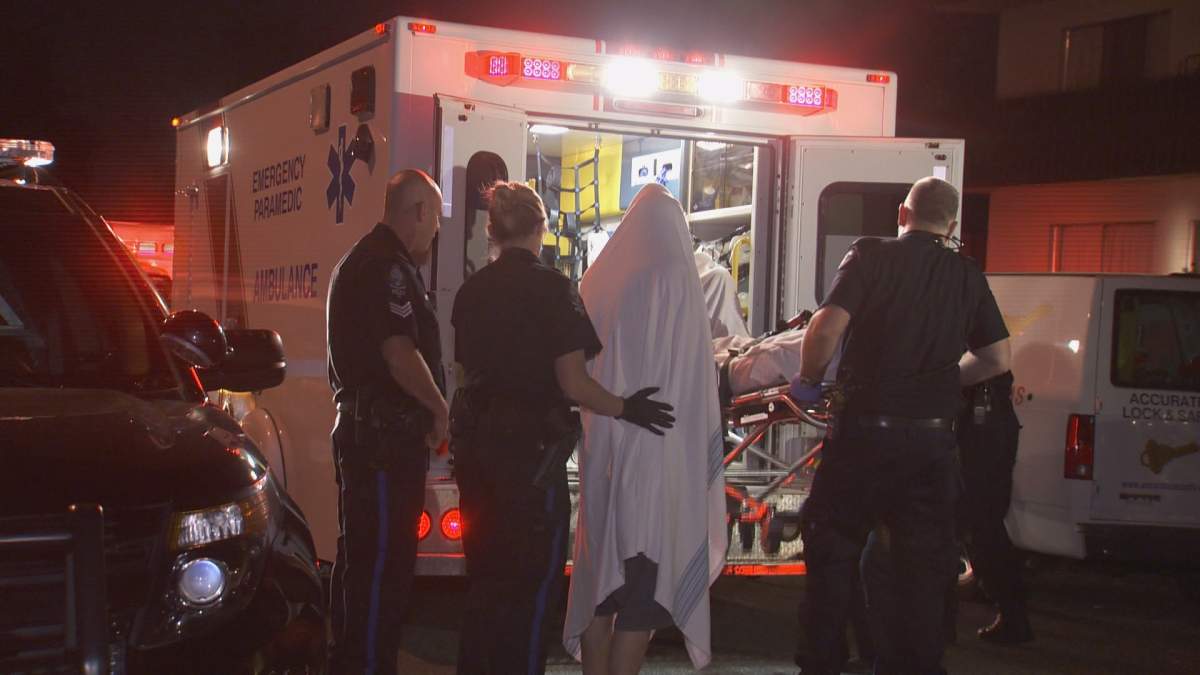 2 people injured after getting mauled by dog in New Westminster - image