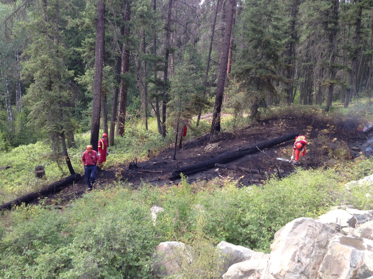 B.C. Forestry Service called out to fire in central Okanagan - image