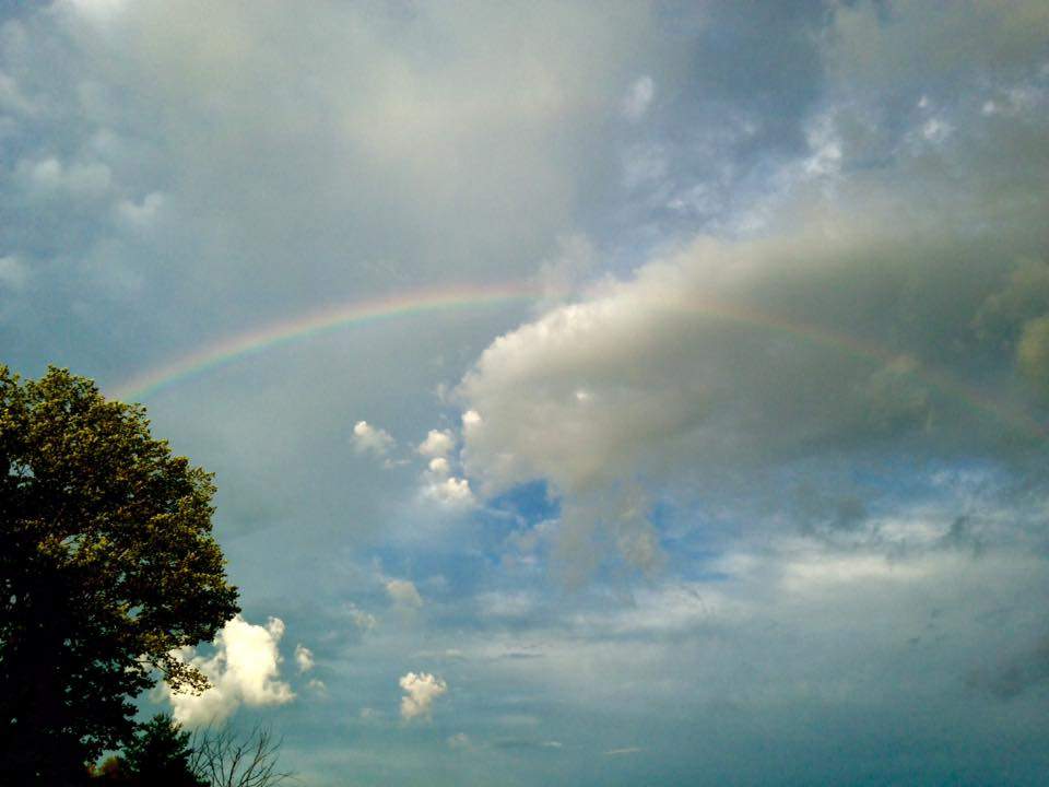 Thanks to Shawna Walsh for this photo.