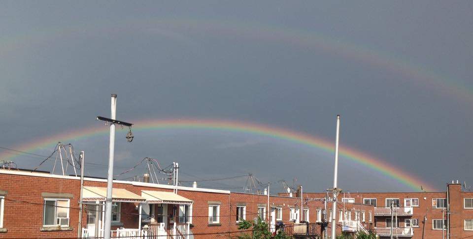 Thanks to Franca Patrizio for this photo.