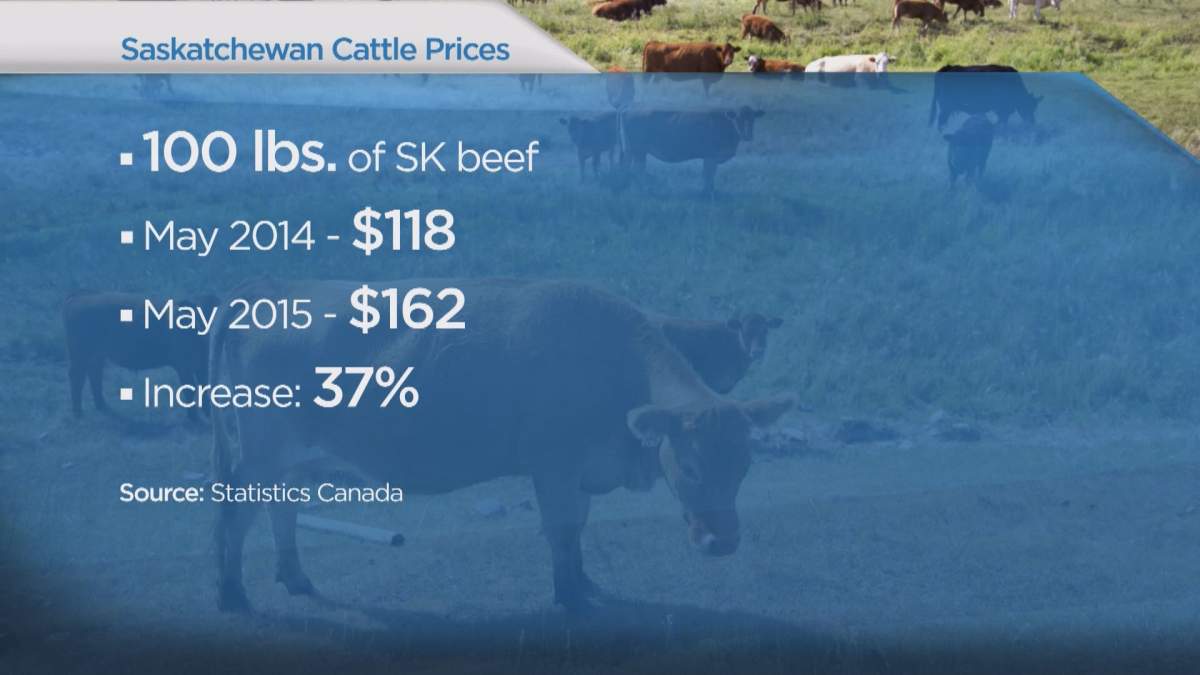 How drought is hurting Sask. cattle producers - image