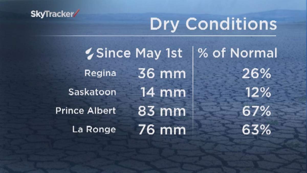 How drought is hurting Sask. cattle producers - image