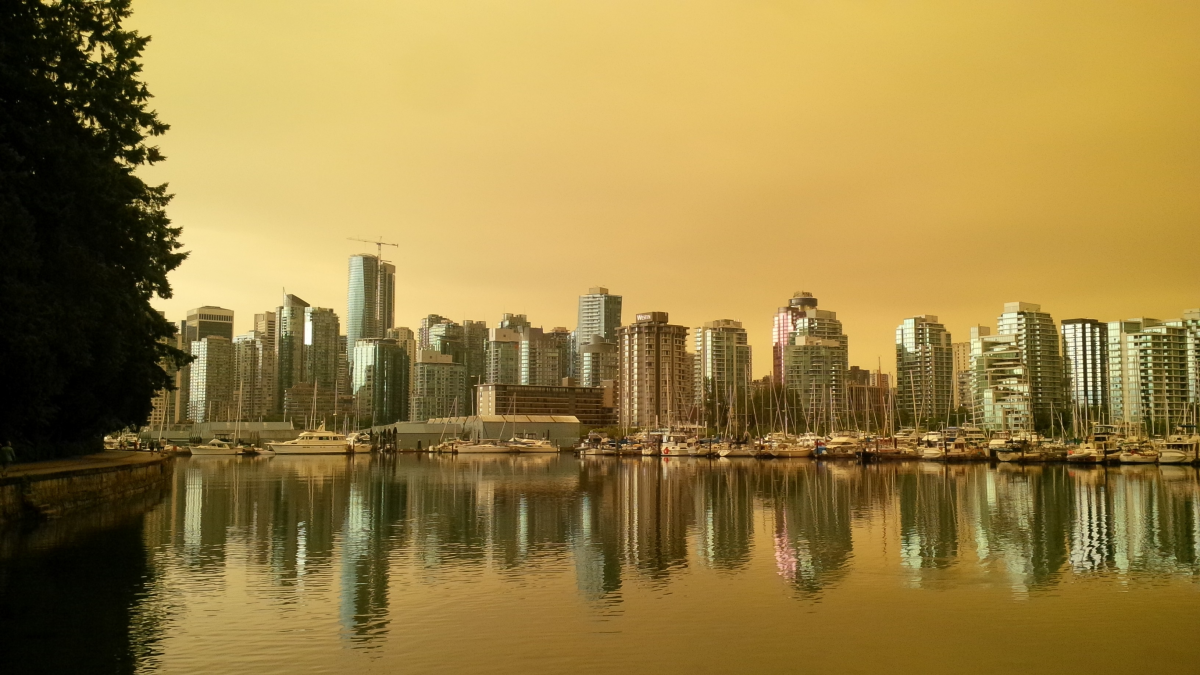 Rob Asquith – Coal Harbour
