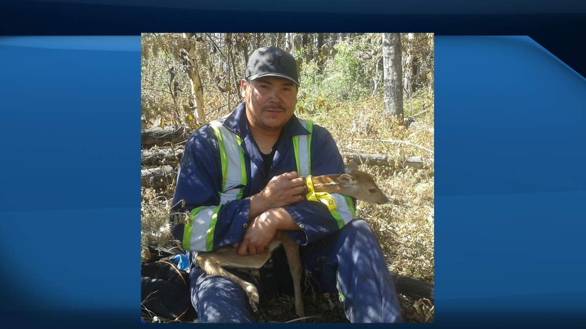 The baby fawn was brought to the Healing Haven Wildlife Rescue on June 11th where he was treated for burns on his feet and ears.