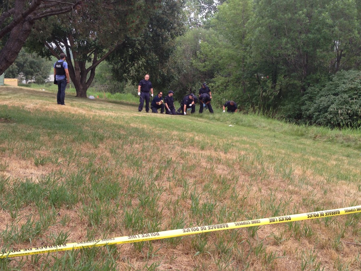 RCMP searching area behind Red Deer Lodge after a man's body was discovered Saturday. 