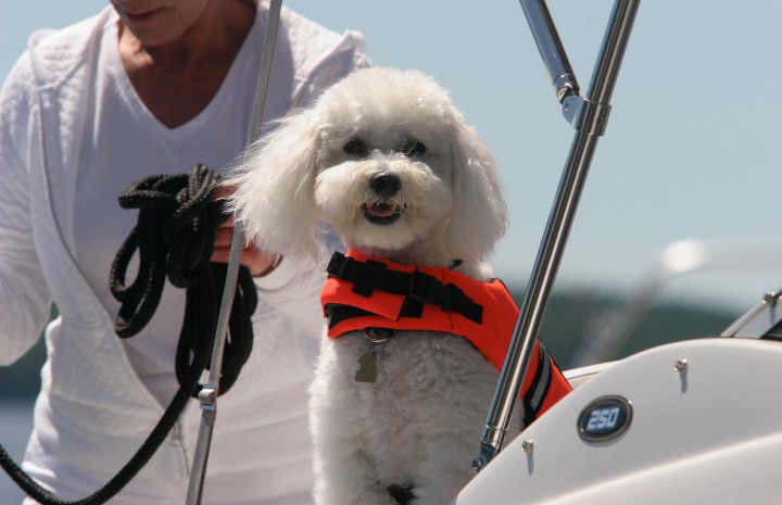 Put a lifejacket on others and then yourself.