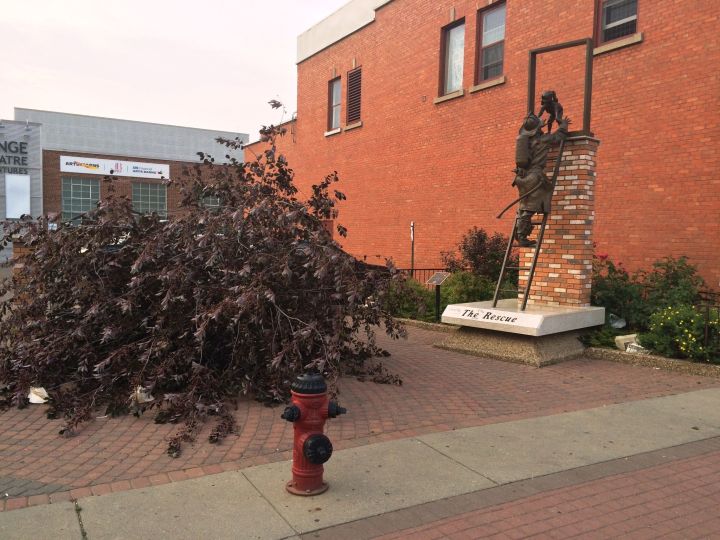 The Edmonton Firefighters Memorial in Old Strathcona was vandalized Friday, July 10, 2015.