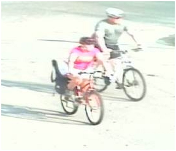 Thelma Krull missing witnesses Winnipeg