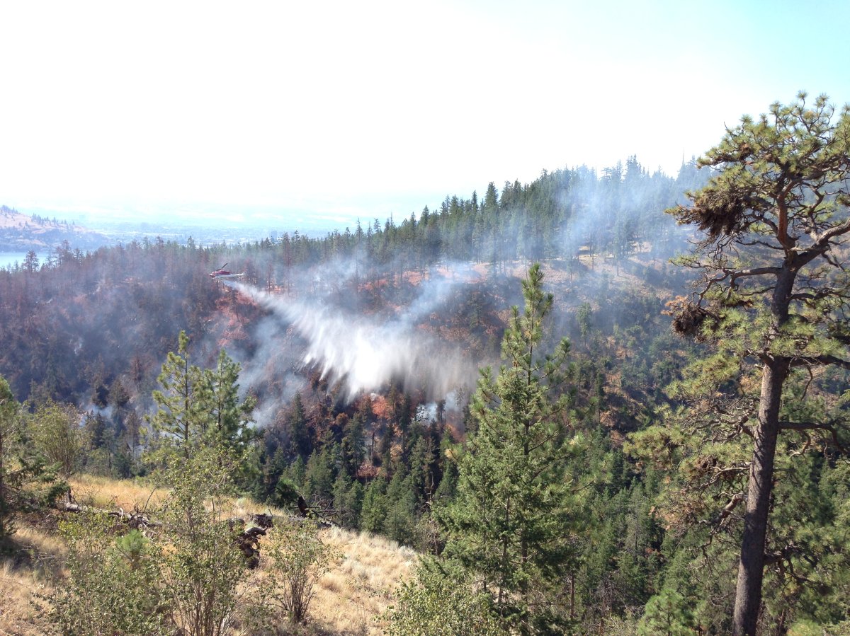 Helicopter drops water on wildfire near Bear Creek Park Monday morning.