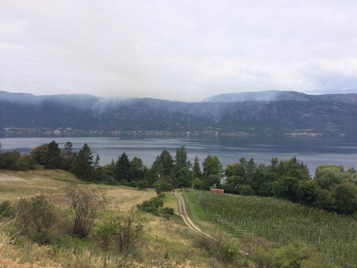 Smoke from Westside Road Fire could be seen across the lake on  July 23. 