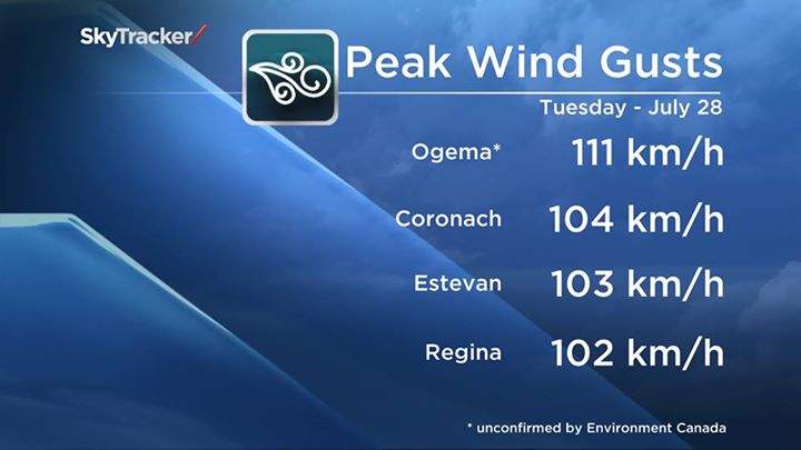 Damaging winds rip through Regina - image