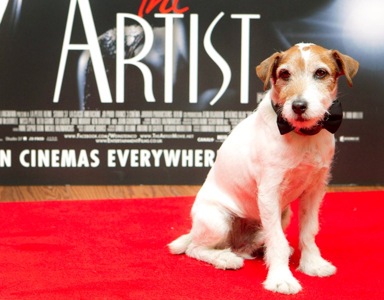 In this Jan. 10, 2012 file photo, Uggie the dog, who starred in the film "The Artist," attends a special screening of the film in London. 